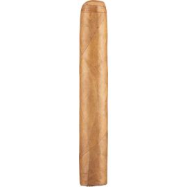 Cortez Robusto