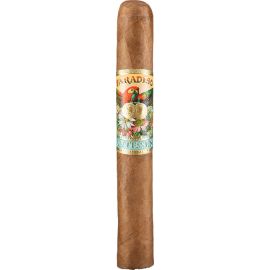 Paradiso Quintessence Robusto