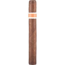 RoMa Craft Neanderthal HS