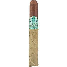 The Oscar Toro