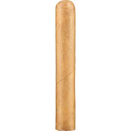 ZO House Blend Connectiut Gordo