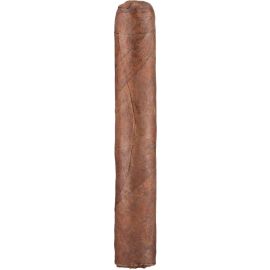 ZO House Blend Habano Robusto