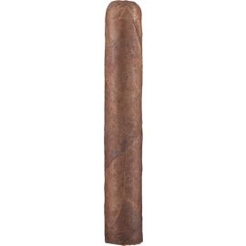 ZO House Blend Maduro Gordo