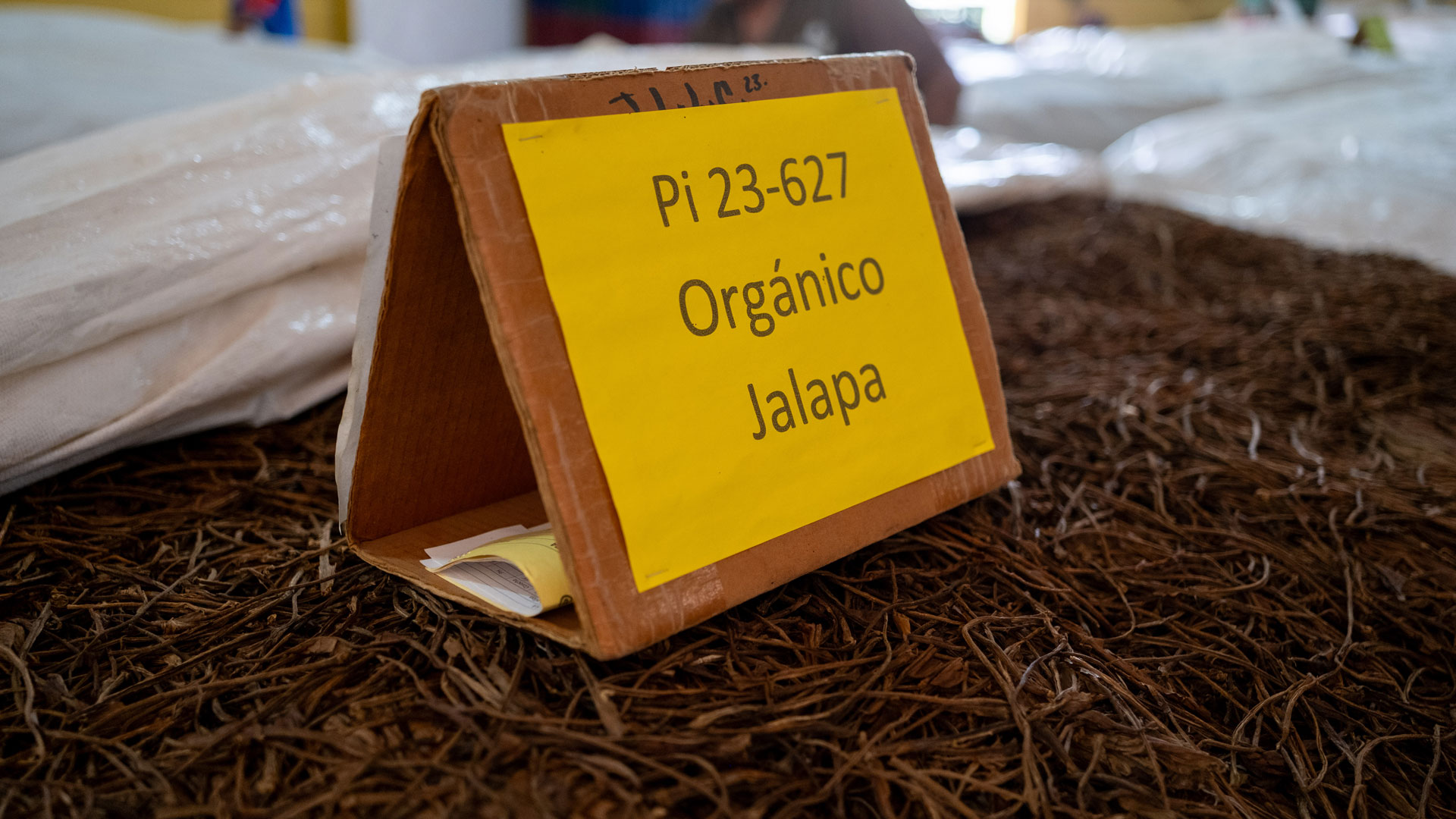 Plasencia Tobacco Organico Jalapa