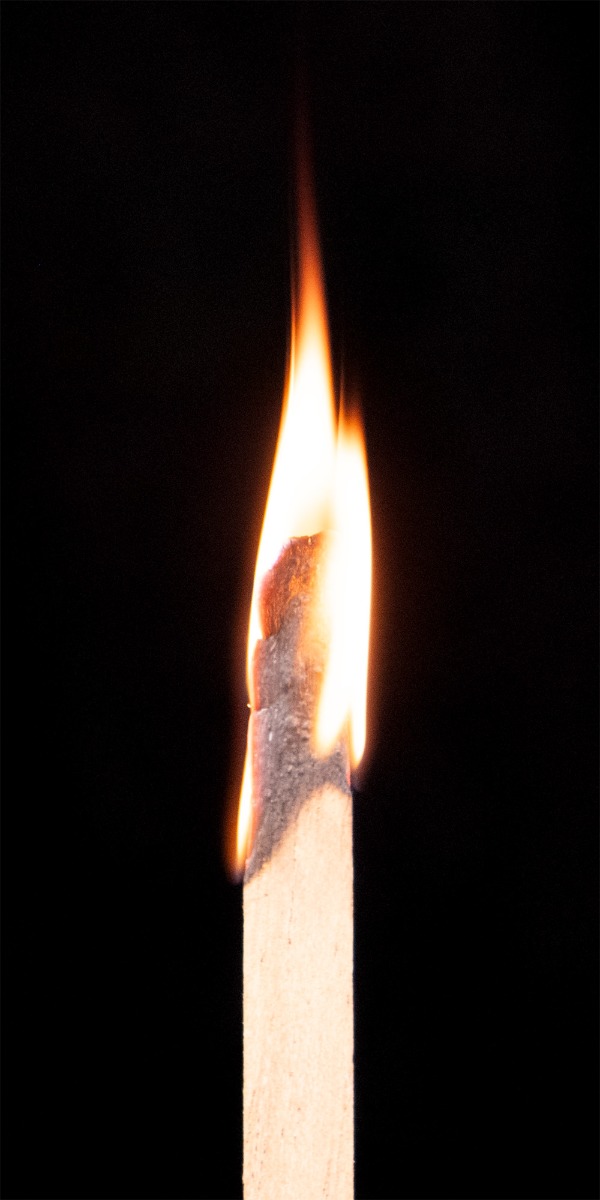 zedernholz-flamme