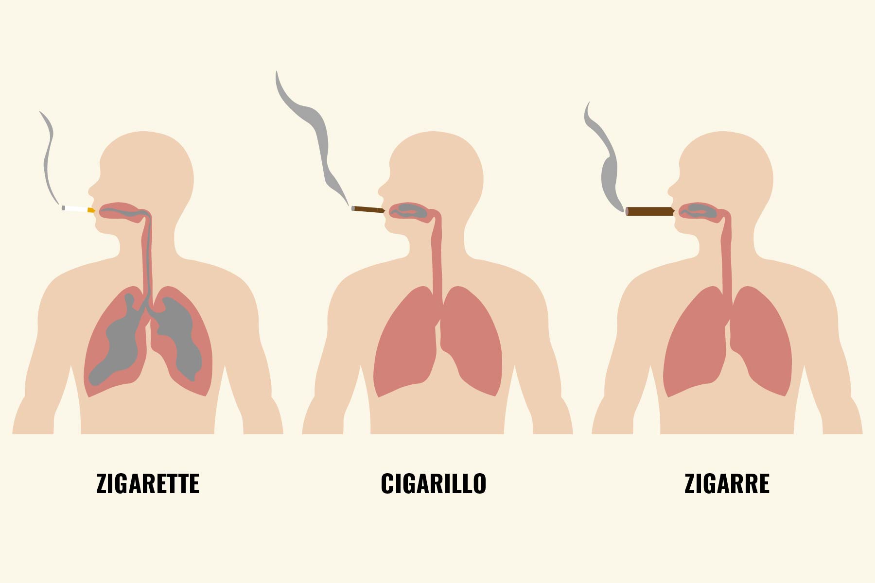 zigarillos-auf-lunge-grafik-2