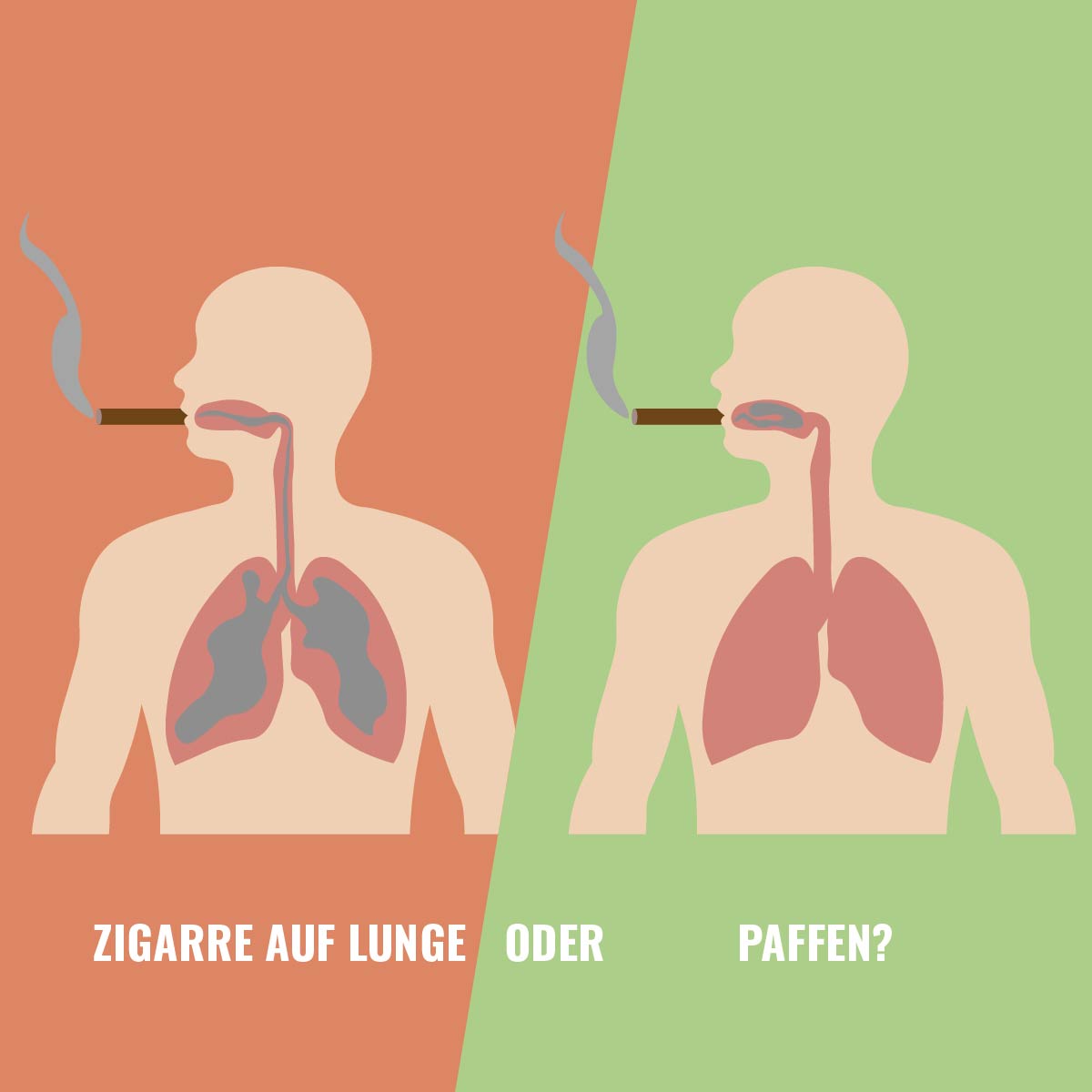 zigarren-auf-lunge-illustration