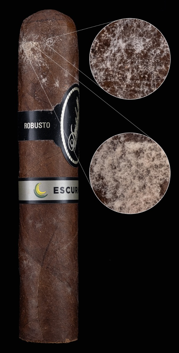 davidoff-schimmel-grafik