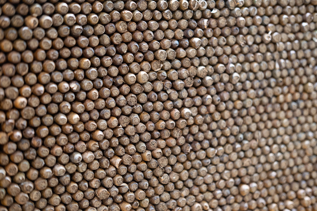 Cigarillos Lagerung